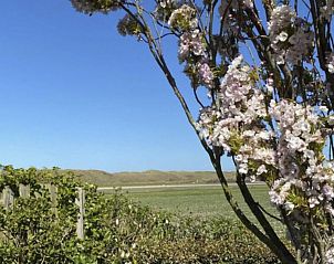 Guest house 454046 - Holiday property Noordzeekust - Vakantiehuis 
