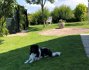 Guest house 454046 - Holiday property Noordzeekust - Vakantiehuis 