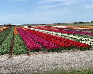 Verblijf 454047 - Appartement Noordzeekust - Appartement Strandslag 233