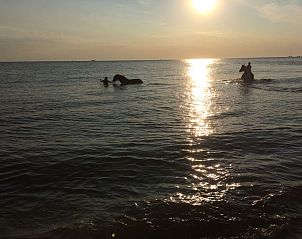 Verblijf 454047 - Appartement Noordzeekust - Appartement Strandslag 233