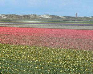 Guest house 454048 - Holiday property Noordzeekust - Vakantiehuis 