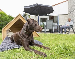 Verblijf 454072 - Bungalow Noordzeekust - Beach Resort Ooghduyne | 4-persoons hondenvilla | 4CD