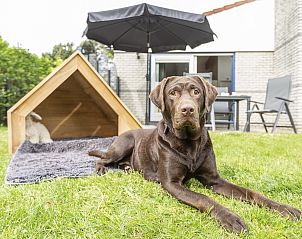 Verblijf 454072 - Bungalow Noordzeekust - Beach Resort Ooghduyne | 4-persoons hondenvilla | 4CD