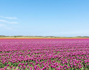 Unterkunft 454097 - Ferienhaus Noordzeekust - Résidence Juliana 54