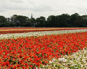 Guest house 454104 - Apartment Noordzeekust - Harrekidee