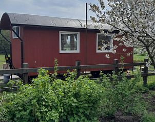 Guest house 454107 - Holiday property Noordzeekust - Vakantiehuis in Sint Maartensbrug