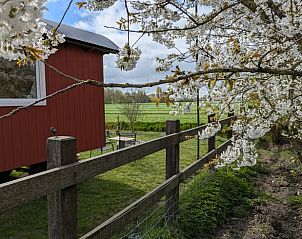 Guest house 454107 - Holiday property Noordzeekust - Vakantiehuis in Sint Maartensbrug