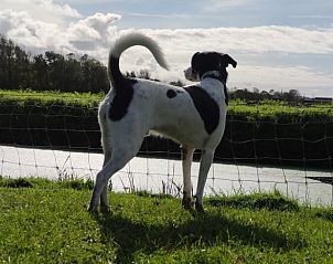 Guest house 454107 - Holiday property Noordzeekust - Vakantiehuis in Sint Maartensbrug