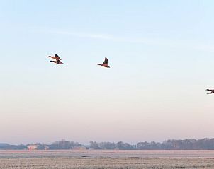 Guest house 454107 - Holiday property Noordzeekust - Vakantiehuis in Sint Maartensbrug