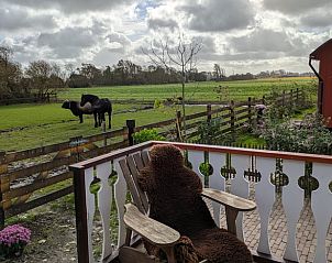 Unterkunft 454108 - Ferienhaus Noordzeekust - Huisje in Sint Maartensbrug