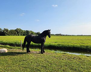 Unterkunft 454108 - Ferienhaus Noordzeekust - Huisje in Sint Maartensbrug