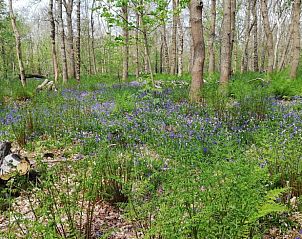 Unterkunft 454108 - Ferienhaus Noordzeekust - Huisje in Sint Maartensbrug