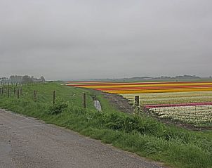 Unterkunft 454215 - Ferienhaus Noordzeekust - Vakantiehuis in Warmenhuizen