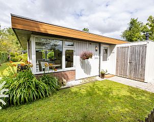 Unterkunft 454223 - Ferienhaus Noordzeekust - NH212