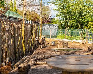 Verblijf 454924 - Vakantiewoning Noordzeekust - EuroParcs Spaarnwoude