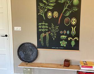 Guest house 455101 - Holiday property Noordzeekust - Vakantiehuis in Castricum aan Zee