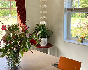 Guest house 455101 - Holiday property Noordzeekust - Vakantiehuis in Castricum aan Zee