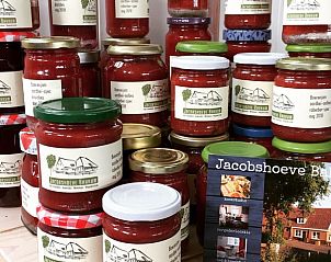 Guest house 455101 - Holiday property Noordzeekust - Vakantiehuis in Castricum aan Zee