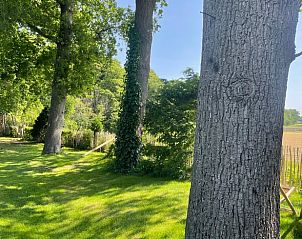 Unterkunft 456103 - Ferienhaus Noordzeekust - Vakantiehuisje in Vogelenzang