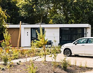 Guest house 456106 - Holiday property Noordzeekust - Villa Bloomingdale