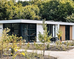 Guest house 456106 - Holiday property Noordzeekust - Villa Bloomingdale