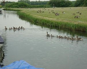 Verblijf 460109 - Vakantiewoning IJsselmeerkust - Vakantiehuis Auszeit direkt am Wasser