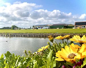 Verblijf 460120 - Vakantiewoning IJsselmeerkust - Vakantiehuis Ela mit Holzgrill, Garten und Terrasse