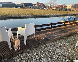 Verblijf 460123 - Appartement IJsselmeerkust - Appartement Chalet Welcome direkt am Wasser mit eigenem Stei