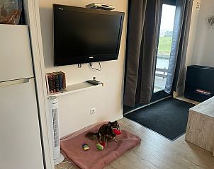 Verblijf 460123 - Appartement IJsselmeerkust - Appartement Chalet Welcome direkt am Wasser mit eigenem Stei