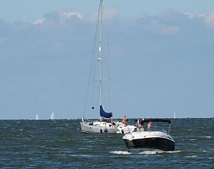 Verblijf 460124 - Vakantiewoning IJsselmeerkust - Vakantiehuis Schmuckes neuwertiges Ferienhaus  auf einer kle