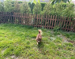 Verblijf 460131 - Appartement IJsselmeerkust - Appartement Haus Moony