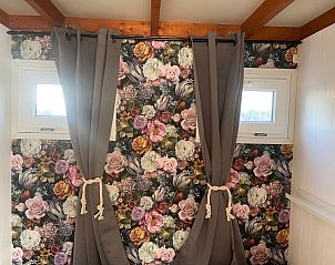 Verblijf 460131 - Appartement IJsselmeerkust - Appartement Haus Moony