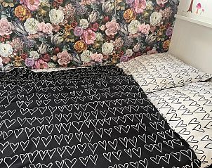 Verblijf 460131 - Appartement IJsselmeerkust - Appartement Haus Moony