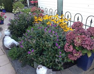 Verblijf 460142 - Vakantiewoning IJsselmeerkust - Vakantiehuis direkt am See