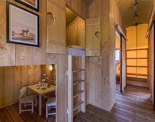 Unterkunft 460219 - Zelthaus IJsselmeerkust - Safarilodge Gazelle