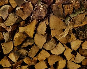 Verblijf 460222 - Vakantiewoning IJsselmeerkust - Vakantiehuis in Andijk