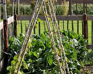Verblijf 460222 - Vakantiewoning IJsselmeerkust - Vakantiehuis in Andijk
