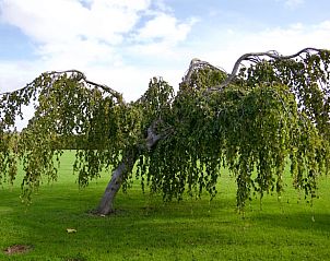 Verblijf 460222 - Vakantiewoning IJsselmeerkust - Vakantiehuis in Andijk