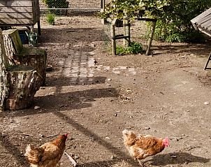 Verblijf 460222 - Vakantiewoning IJsselmeerkust - Vakantiehuis in Andijk