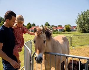 Guest house 460233 - Holiday property IJsselmeerkust - Villavakantiepark IJsselhof 5