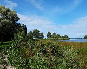 Verblijf 460293 - Chalet IJsselmeerkust - Chalet 220
