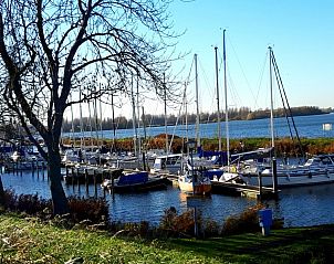 Verblijf 460293 - Chalet IJsselmeerkust - Chalet 220