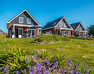 Unterkunft 4604104 - Ferienhaus IJsselmeerkust - 781572