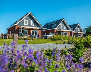 Unterkunft 4604104 - Ferienhaus IJsselmeerkust - 781572