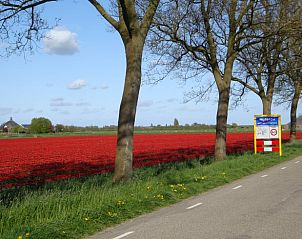 Prachtige windmolen in de buurt van Huisje in Wijdenes, vakantieaccommodatie in Noord-Holland.