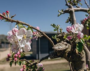 Verblijf 460518 - Bungalow IJsselmeerkust - Park Wijdenes 2
