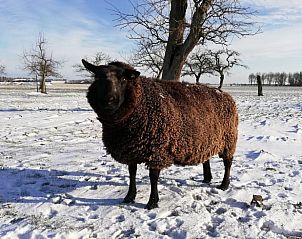Unterkunft 460704 - Ferienhaus IJsselmeerkust - Huisje in Hem
