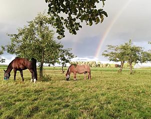 Unterkunft 460706 - Ferienhaus IJsselmeerkust - Huisje in Hem