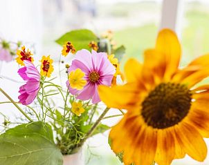 Unterkunft 460708 - Ferienhaus IJsselmeerkust - Huisje in Hem