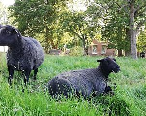 Unterkunft 460708 - Ferienhaus IJsselmeerkust - Huisje in Hem
